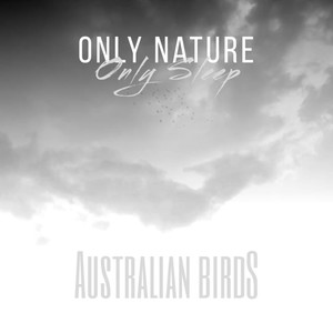 Australian Birds