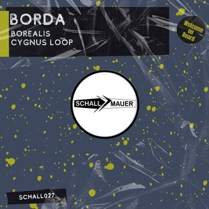 Cygnus Loop