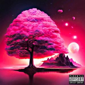 Pink Aurora Aura (Explicit)