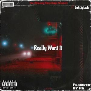 Really Want It (Explicit)