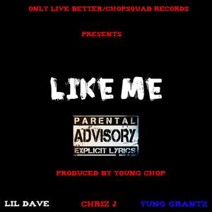 Like Me (feat. Chriz J & Lil Dave)