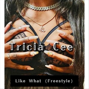 Like What (Freestyle) [Explicit]