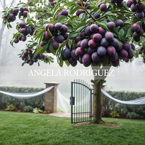 Teleporting Umbrella in the Shopping Cart