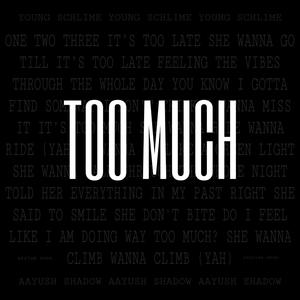 Too Much (feat. Aayush Shadow & Young Schlime)