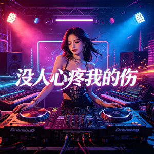 没人心疼我的伤