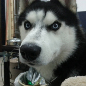 九九八十一·柔情版