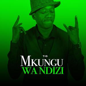 Mkungu wa Ndizi (feat. Q Chief)