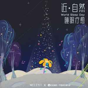 安宁之夜封面