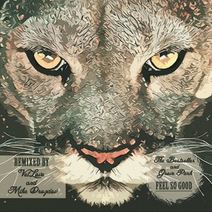 Feel So Good (VetLove, Mike Drozdov Remix)