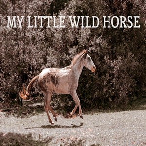 My Little Wild Horse (feat. Romes Cunha, Matheus Arantes, João Pedro Reis & Luiz Santos)