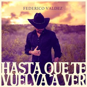 Hasta que te vuelva a ver