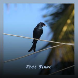 Fool Stake