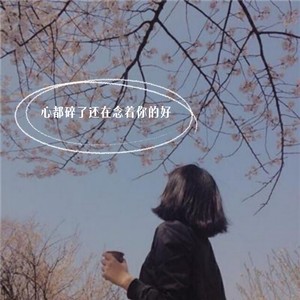 找个人代替我 (DJ版)