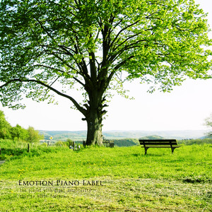 마음이 쉬는 의자 (A chair with a heart)