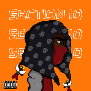 Section 10 (Explicit)