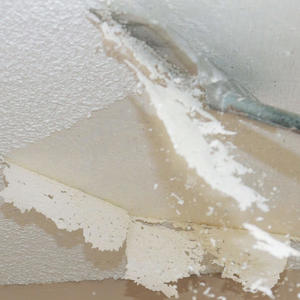 Popcorn Ceiling (Explicit)