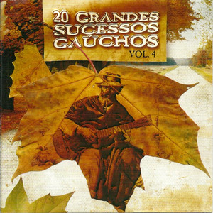 20 Grandes Sucessos Gaúchos  Vol. 4