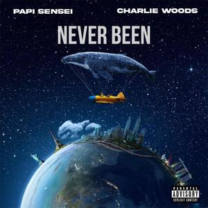 Never Been (feat. Charlie Woods) [Explicit]