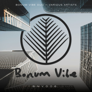 Bonum Vibe Duo