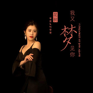 我又梦见你 (伴奏)