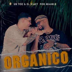 Organico (feat. Un_Yoe)