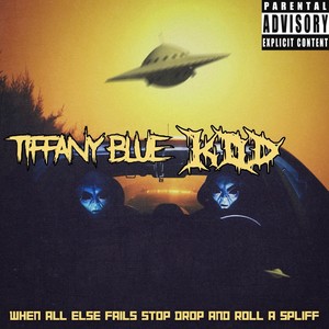 WHEN ALL ELSE FAILS STOP DROP AND ROLL A SPLIFF (Explicit)