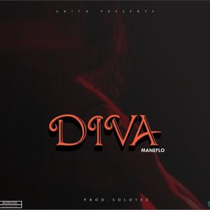 Diva (Midnight groove)