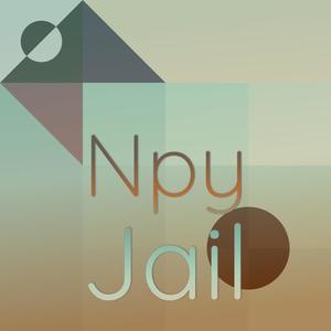 Npy Jail