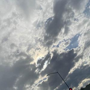 Wanna Loss. (Explicit)