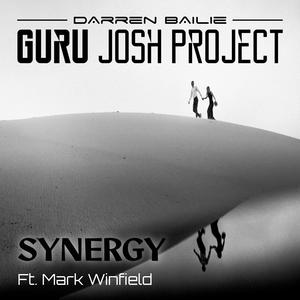 Synergy (feat. Mark Winfield) (Radio Edit)