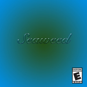 Seaweed