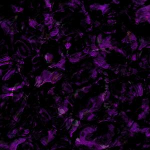 Baby(feat. SILK JETS) (P43 Remix)