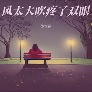 风太大吹疼了双眼 (伴奏)