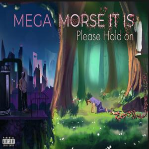 Mega Morse It Is (Explicit)