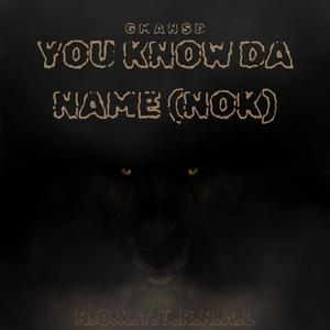 You Know Da Name (NOK) (Radio Edit)