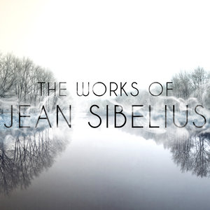 Concerto for Violin and Orchestra in D Minor, Op. 47: I. Andante moderato