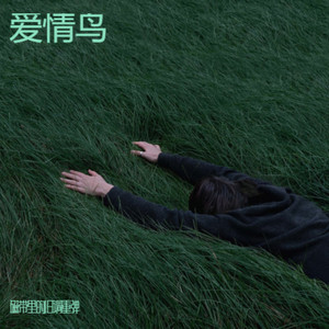 爱情鸟 (R&B微醺版)