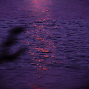 下辈子如果我还记得你