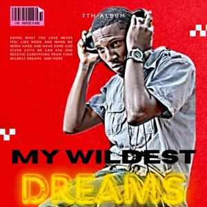 My Wildest Dreams (Explicit)