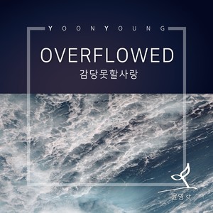 OVERFLOWED