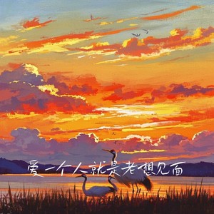 爱一个人就是老想见面