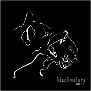 Blackwolves