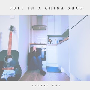 Bull in a China Shop