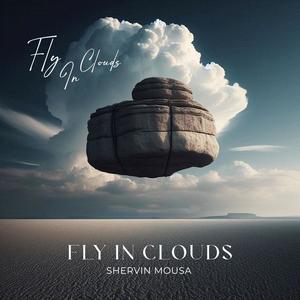 Fly in Clouds