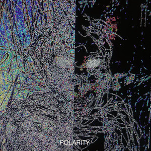 Polarity