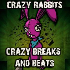 Crazy Rabbits Crazy Breaks and Beats (Explicit)