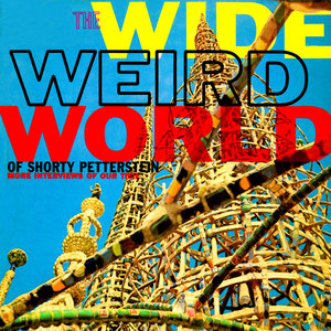 Wide Weird World - More Interviews of Our Time