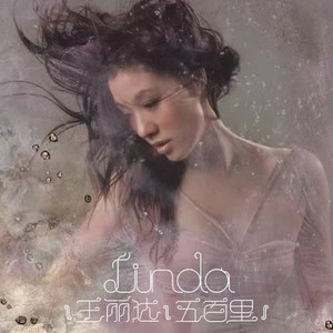 王丽达专辑《五百里》封面图片