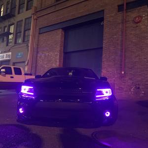 Muscleville (Explicit)