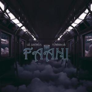 Faani (feat. Lill Ghunda & Ricky B) [Explicit]